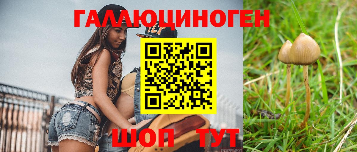 Галлюциногенные грибы мицелий Тверь